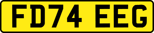 FD74EEG