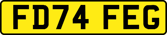 FD74FEG