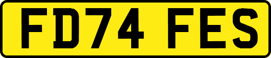 FD74FES