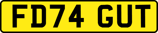 FD74GUT
