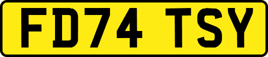 FD74TSY