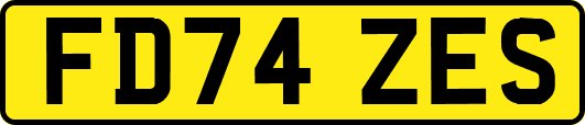 FD74ZES