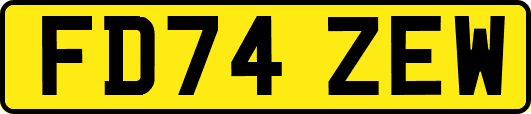 FD74ZEW
