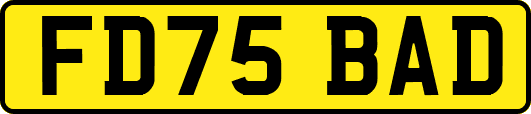 FD75BAD