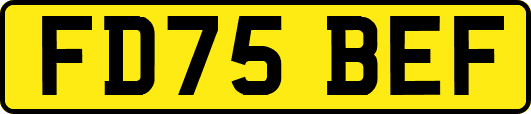 FD75BEF