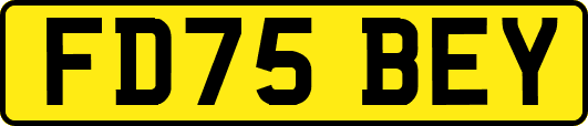 FD75BEY