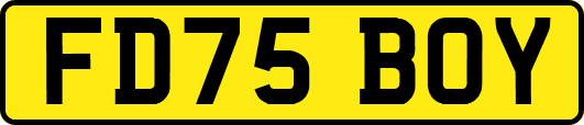 FD75BOY