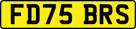FD75BRS