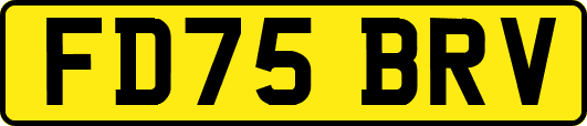 FD75BRV