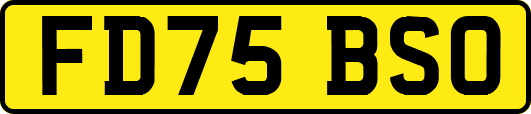 FD75BSO