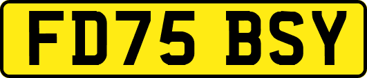 FD75BSY