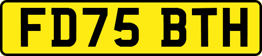 FD75BTH
