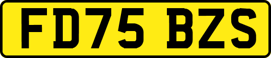 FD75BZS