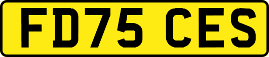 FD75CES