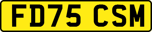 FD75CSM