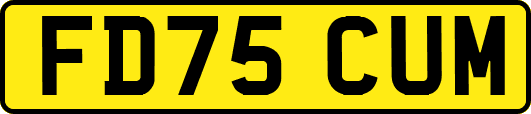 FD75CUM