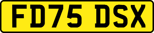 FD75DSX