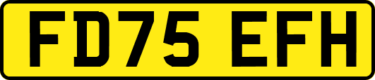 FD75EFH
