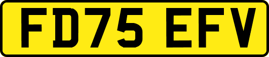 FD75EFV