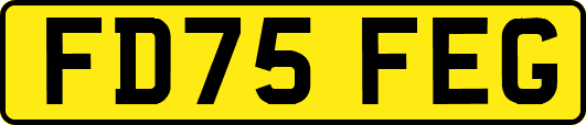 FD75FEG