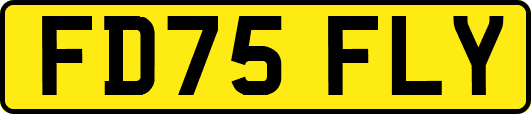 FD75FLY