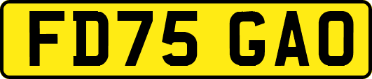 FD75GAO