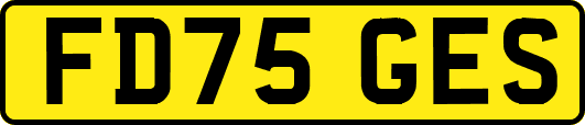 FD75GES