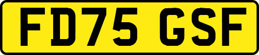 FD75GSF