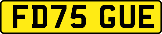 FD75GUE
