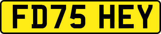 FD75HEY