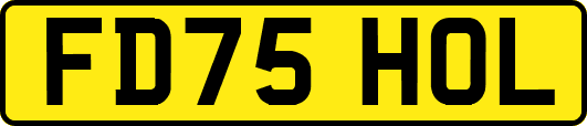 FD75HOL