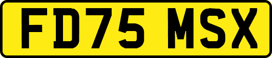 FD75MSX