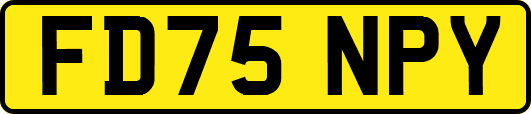 FD75NPY