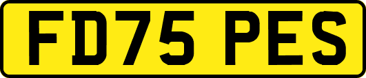FD75PES