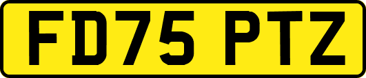 FD75PTZ