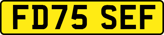 FD75SEF