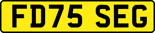 FD75SEG