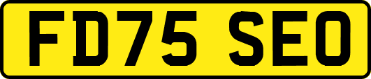 FD75SEO