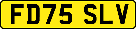 FD75SLV