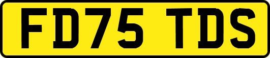 FD75TDS
