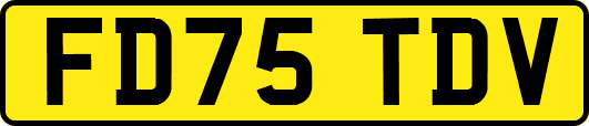 FD75TDV