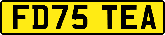 FD75TEA