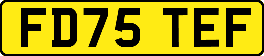 FD75TEF