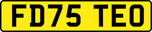 FD75TEO