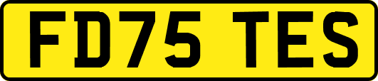 FD75TES