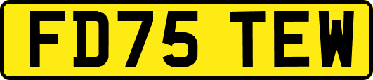 FD75TEW