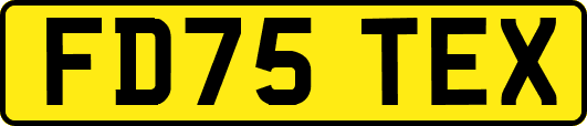 FD75TEX