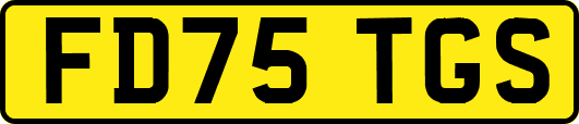 FD75TGS