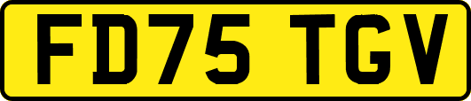 FD75TGV