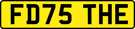 FD75THE